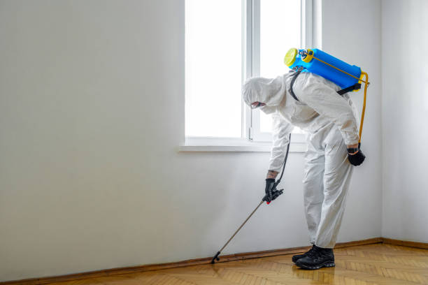 Best Emergency Pest Control  in Sacaton, AZ